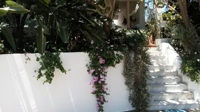 a stairway with flowers and plants on it at Hotel Kleopatra in Stalos