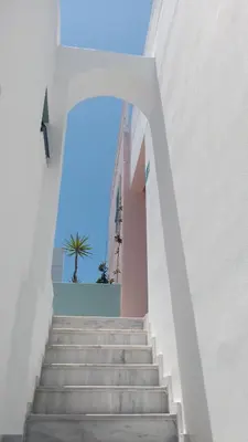 a staircase leading up to a building with a palm tree at Hotel Kleopatra in Stalos