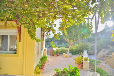a yellow house with a patio with plants at Villa Athina in Kissamos