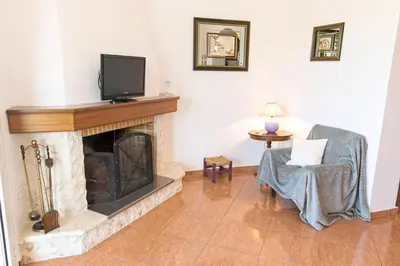 a living room with a fireplace and a tv at Ortaki Traditional House in Loúlos