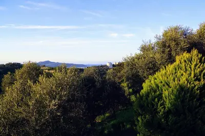a hillside with trees and mountains in the distance at Olive Tree Hillside Apartment in Stalos