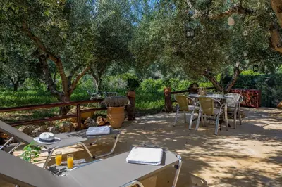 a patio with tables and chairs under trees at The Olive House in Kondomari