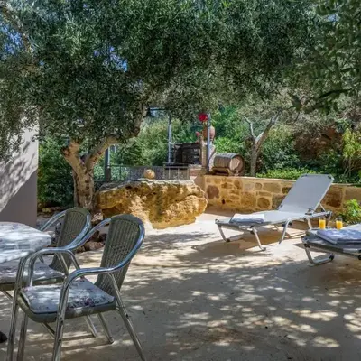 The Olive House