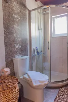 a bathroom with a toilet and a glass shower at Villa Galata in Galatás