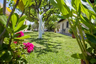 a garden with trees and pink flowers in a yard at Studios Kydonia in Gerani Chanion
