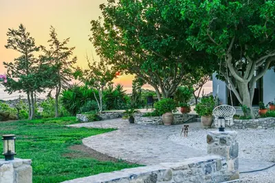 a dog standing in the middle of a yard at Panorama in Elafonisi