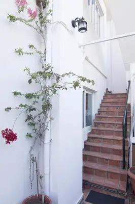 a staircase in a building with a plant at Niki Rooms in Palaiochóra