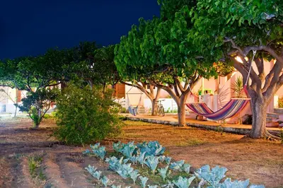 a garden with a hammock and trees and a house at Dolphin Apartments in Frangokastello