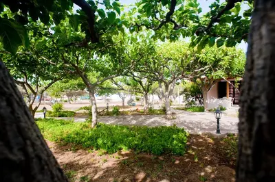 a group of trees in a park at Dolphin Apartments in Frangokastello