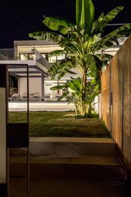 a palm tree in front of a building at night at Villa L2/ Boutique Villa in Kato Daratso