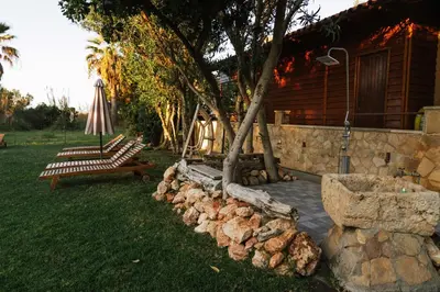 a yard with two benches and a tree and an umbrella at Wooden Beach House in Gerani Chanion