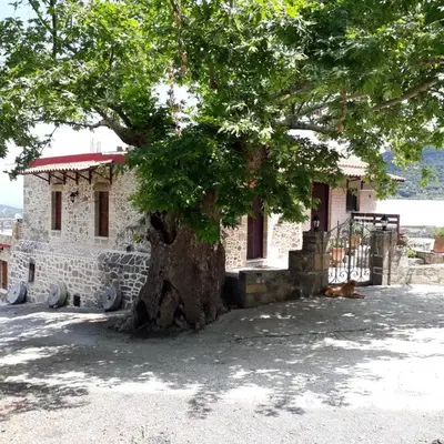 Traditional House Koukounara