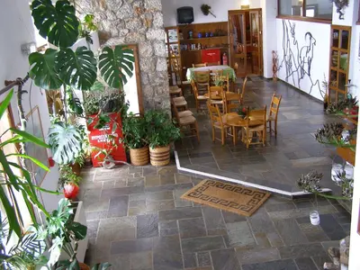 a room with a table and chairs and plants at Neos Omalos Hotel in Omalós