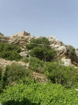 a rocky hill with trees and bushes on it at Megim Hotel in Palaiochóra