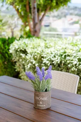 a flower pot sitting on a table with purple flowers at Barbaras Apartments in Kato Daratso