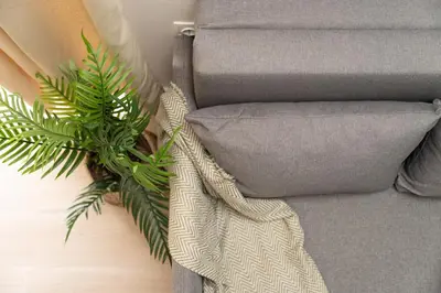 a green plant sitting next to a couch at Studio 71!Charming flat in Chania in Chania Town