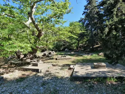 a park with a bunch of benches and a tree at Evaggelias Home Gavalochori in Gavalochori