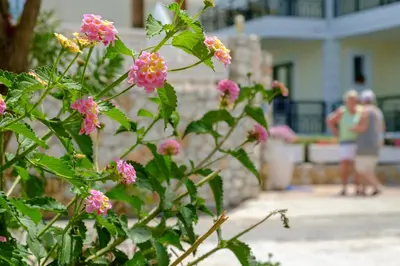 a bush with pink flowers in front of a house at Seafront Paradise steps to Beach in Plataniás