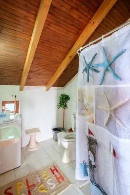 a bathroom with a toilet and a shower curtain with starfish at Seafront Paradise steps to Beach in Plataniás