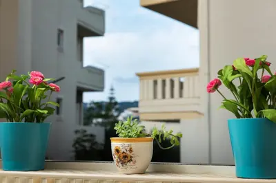 three potted plants sitting on a window sill at Dreamy Holidays Apartment in Chania Town