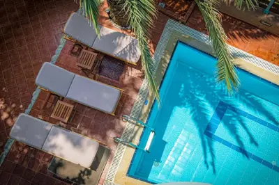 an overhead view of a swimming pool with a palm tree at Seafalios in Kalamaki Chanion