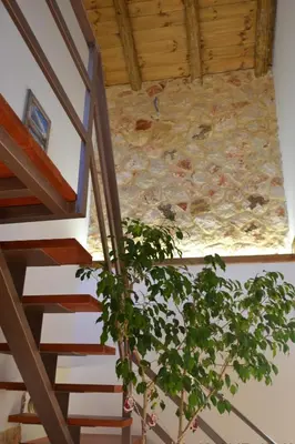 a staircase with a plant in front of a stone wall at Rumpis Traditional House in Kambánion