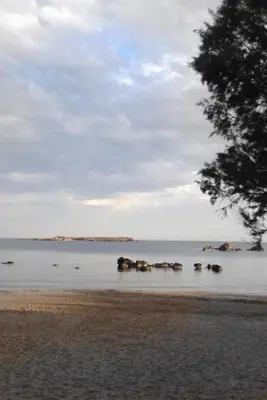 a group of animals in the water on a beach at Frini Hotel in Chania Town