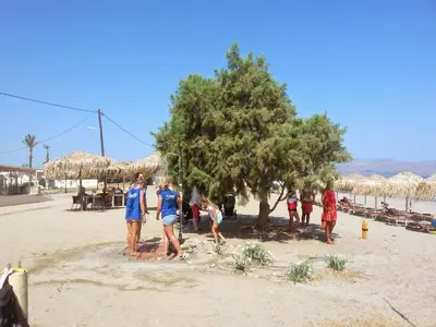 a group of people standing around a tree on the beach at Stellar Beachhouse in Gerani Chanion