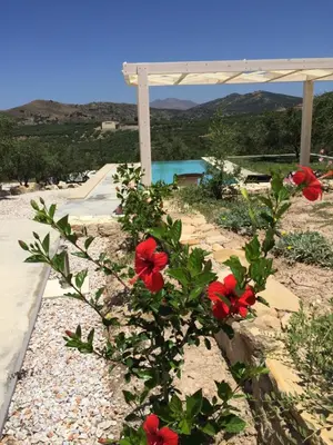 a bush with red flowers in front of a gazebo at WeCrete Apartments in Drapaniás