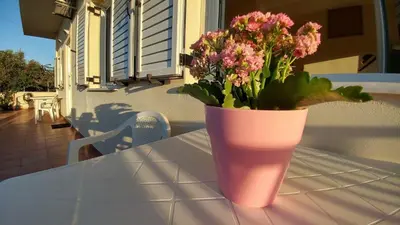 a pink vase with flowers sitting on a table at Maria & Zachos House in Kissamos