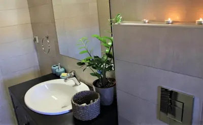 a bathroom with a sink and a mirror and a plant at Casa Ariadne in Plataniás