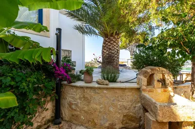 a garden with a palm tree and a stone wall at Althea Maisonettes in Áptera