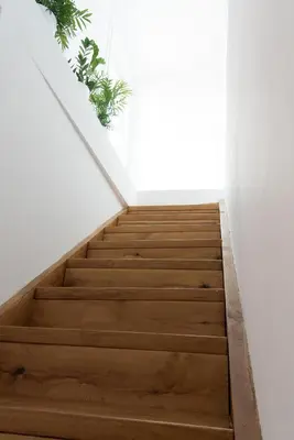 a staircase in a house with wooden floors and plants at Agapi Suites in Chania Town