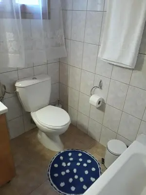 a bathroom with a white toilet and a blue rug at Hidden House in Nature in Zounákion