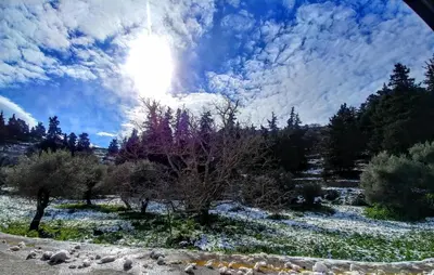 a view of a field with trees and the sun in the sky at Thymes traditional house in Loúlos