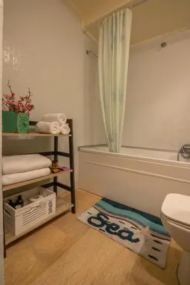 a bathroom with a tub and a toilet and a rug at Luxury Maisonette in Chania Town