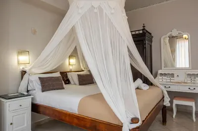 a bedroom with a bed with a mosquito net at Santa Elena Boutique Rooms in Chania Town