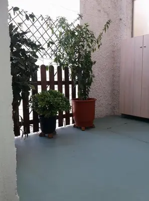 two potted plants in front of a fence at Brigitte house in Chania Town