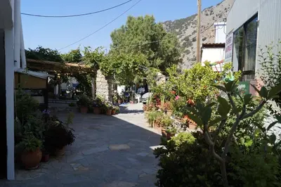 a street with potted plants and a building at Paralia guest house in Agia Roumeli