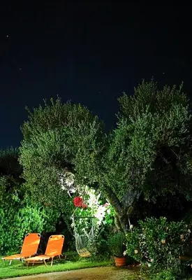 two orange chairs sitting under a tree at night at Elia Guesthouse - Kissamos in Kissamos