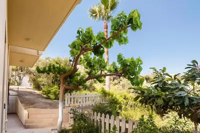a tree in a yard next to a fence at Filio House in Stalos
