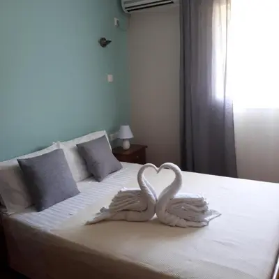 two white swans making a heart on a bed at Cactus in Nopíyia