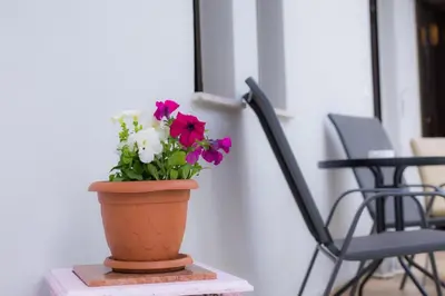 a pot of flowers sitting on a table next to a chair at Stellar Apartments II in Plataniás