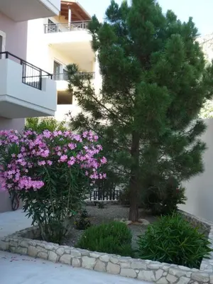 a tree and flowers in front of a building at La Casa Del Vitsi in Palaiochóra