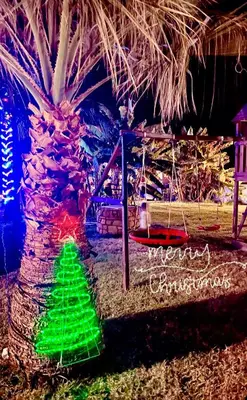 a palm tree with a christmas decoration on it at Martimi Apartments - 200M from Drapanias Beach - Pool - Hot Tub - Sauna - BBQ in Kissamos