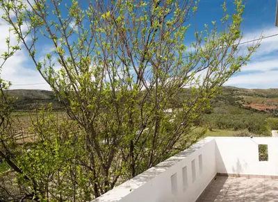 a view from the roof of a house with a tree at Kyparissos Apartment I in Kissamos