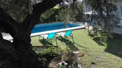 a swimming pool with two chairs and a tree at Villa SteMa in Xirokámbion