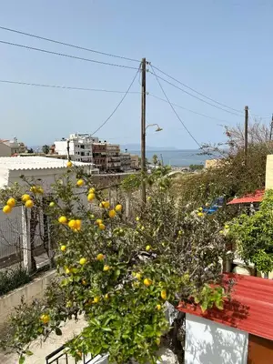 an orange tree with yellow flowers on a balcony at Sofias Home in Chania Town