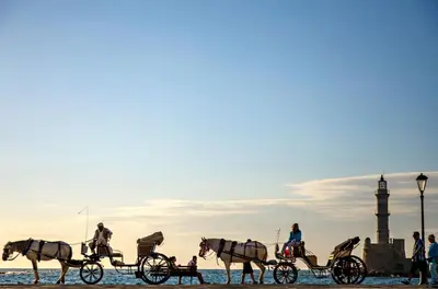 a group of horses pulling a carriage on the beach at Casa Minaretto in Chania Town