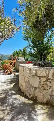 a stone wall with a tree on top of it at Margarita's Stone House in Plátanos